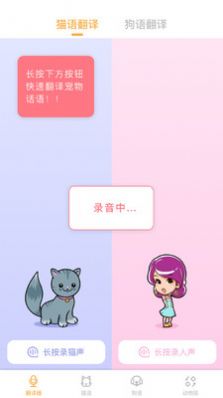 翻译猫语.jpg