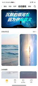 小米主题壁纸国际版