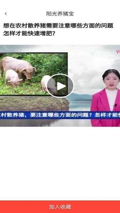 阳光养猪宝截图1