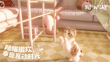 我和我的猫截图0