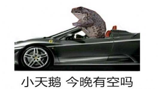 小天鹅我想你了约会吗表情包 截图0