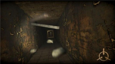 scp096直接处死实验