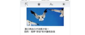 销售小秘