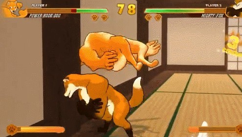 柴犬格斗 2024-06-25 15:08