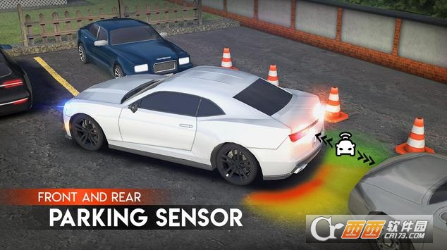 Parking Pro(停车场专家) v1.0