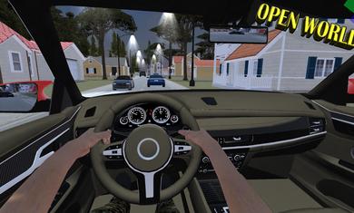 多人汽车驾驶模拟2020 v6.0