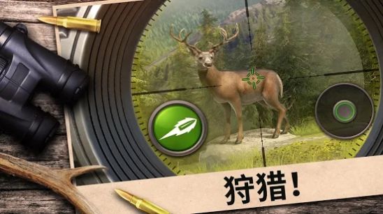 狩猎竞赛免费金币中文最新版 截图2