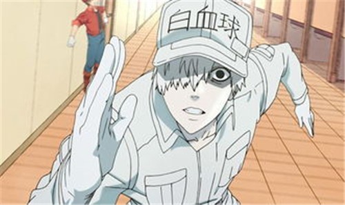 工作细胞 2024-06-25 15:08