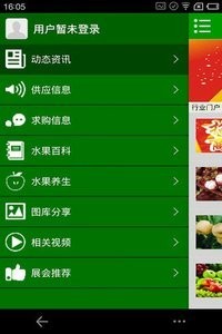 绿色水果截图1