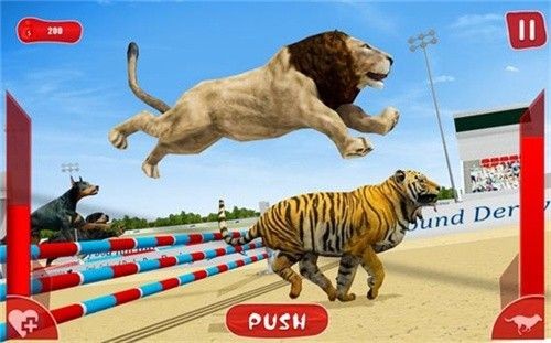 狮子赛跑3D截图1