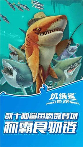  饥饿鲨世界截图3
