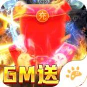 龙之守护