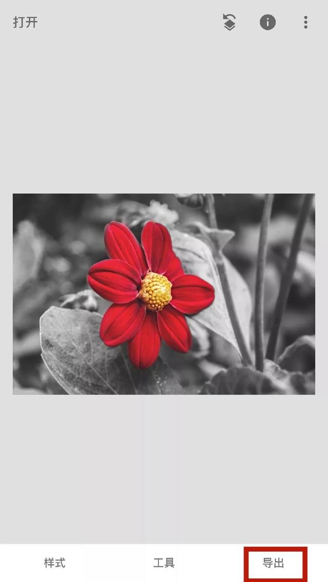 snapseed手机修图软件免费版 v2.19.1.303051424