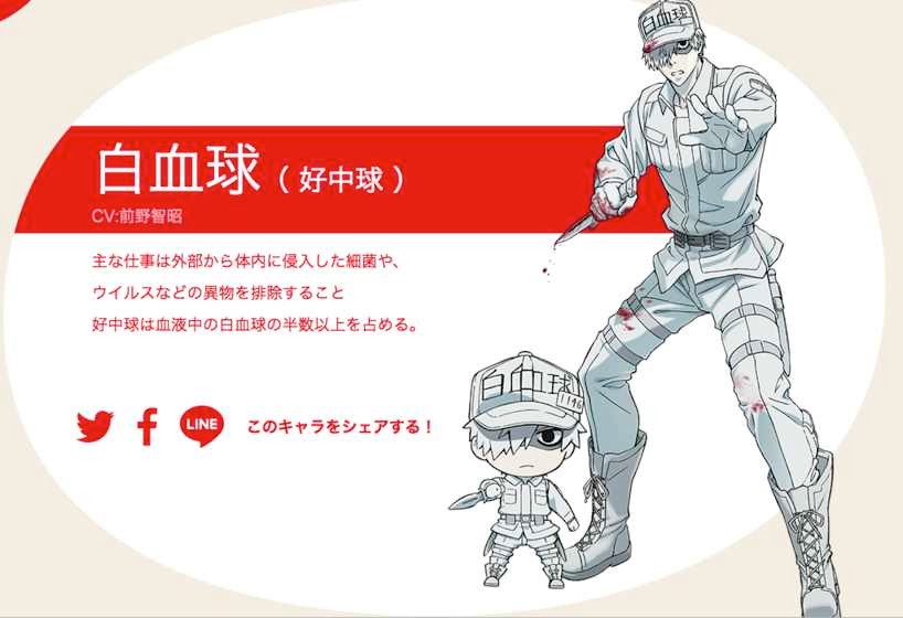 工作细胞black 2024-06-25 15:08