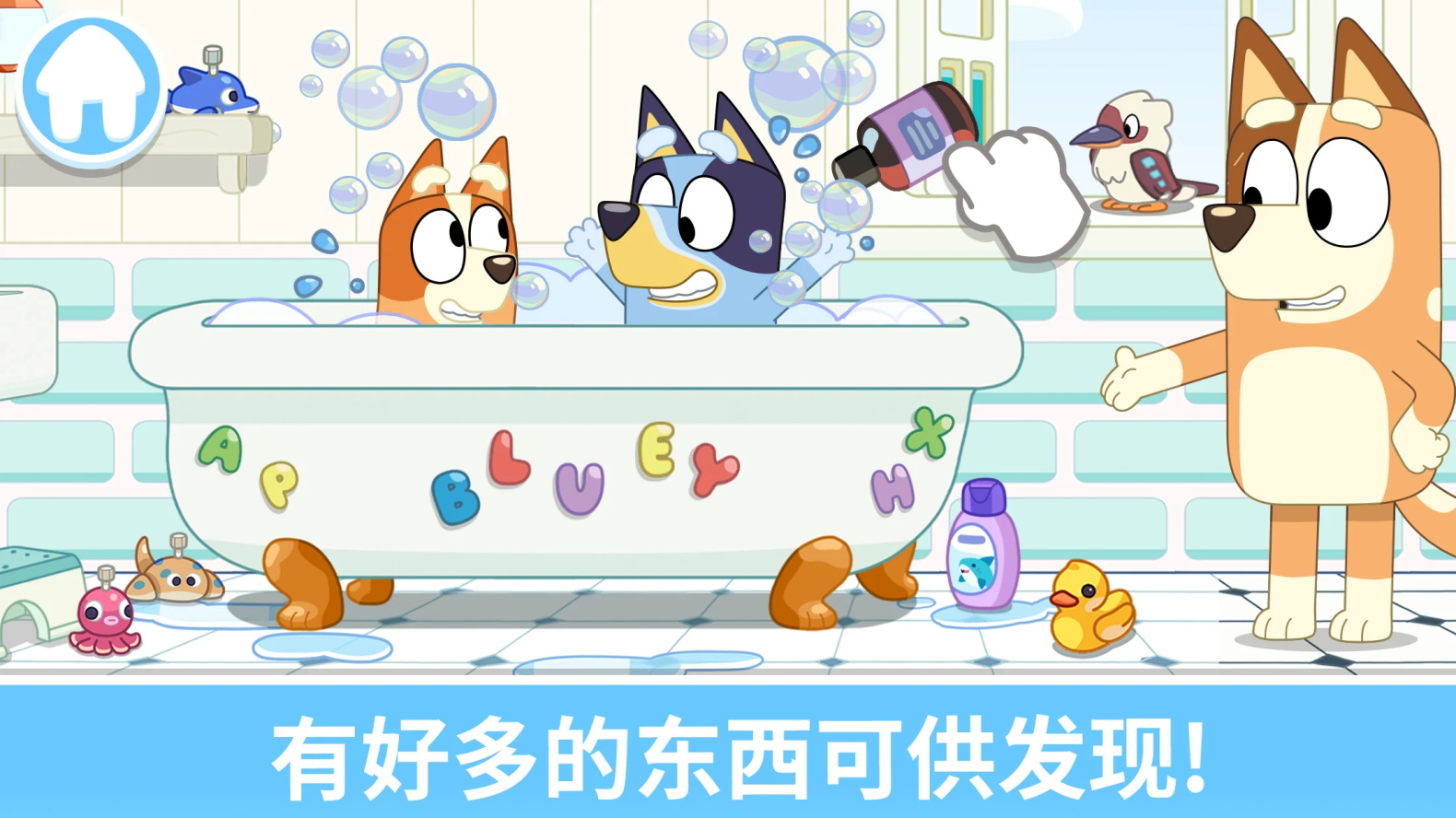 布鲁伊一起玩吧完整版