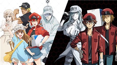 工作细胞游戏 2024-06-25 15:08