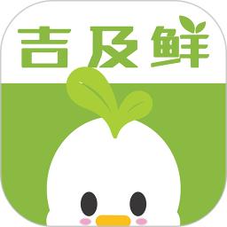 吉及鲜