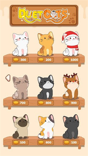 猫咪二重奏