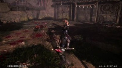 仁王2手机版 2024-06-25 15:08