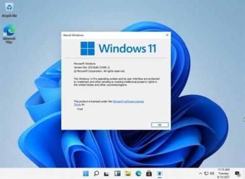 windows11截图1