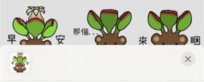 绒毛子叶壁纸