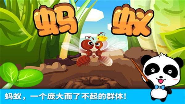 宝宝认蚂蚁游戏最新版截图3