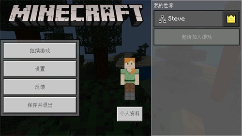 我的世界1.14国际版 v1.14.0.9