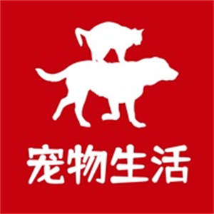 跟路狗