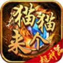 猫猫来个超神器