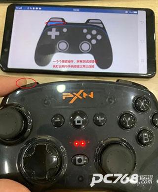 小鸡模拟器最新官方版