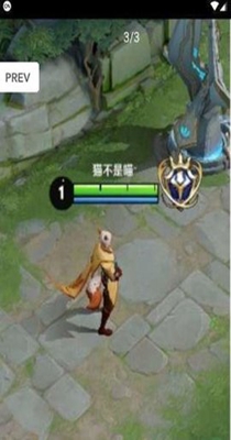 王者荣耀国标悬浮助手.jpg