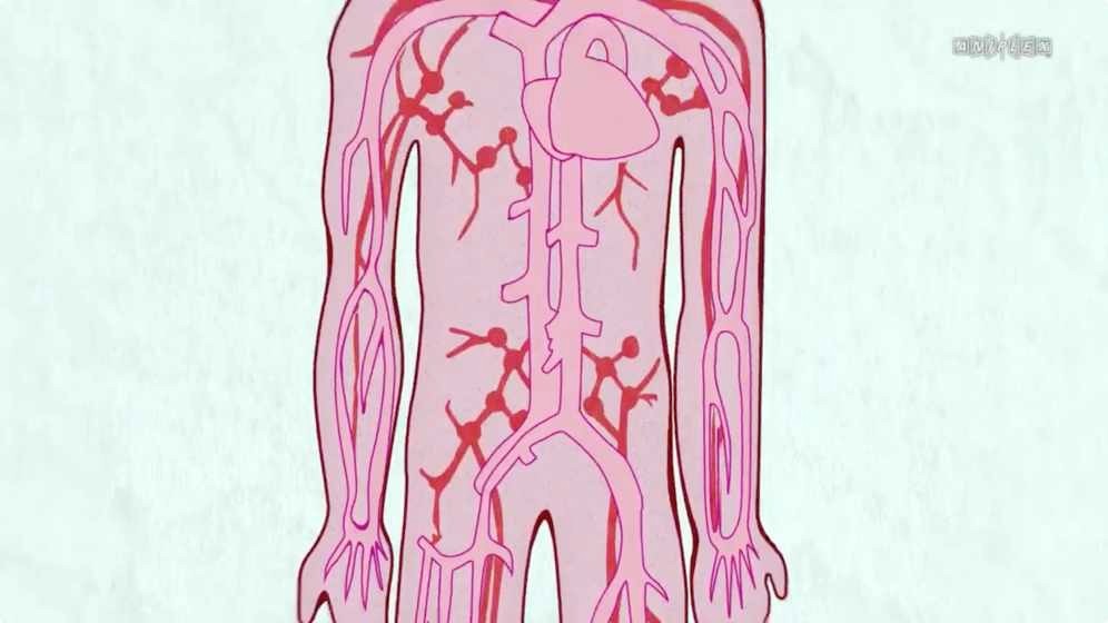 工作细胞black 2024-06-25 15:08