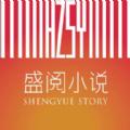盛阅小说