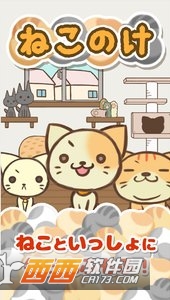 猫毛 v1.2.3