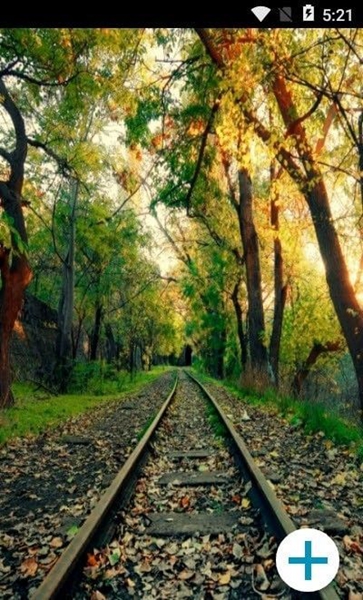 RingtonesWallpapers v100