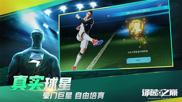 绿茵之巅截图2