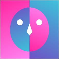 FaceScore