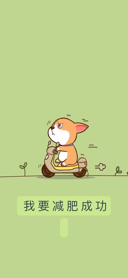 金鱼壁纸清单.jpg