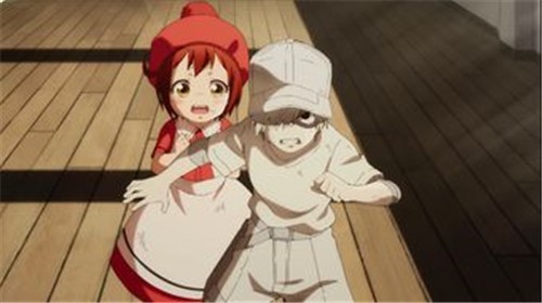 工作细胞 2024-06-25 15:08