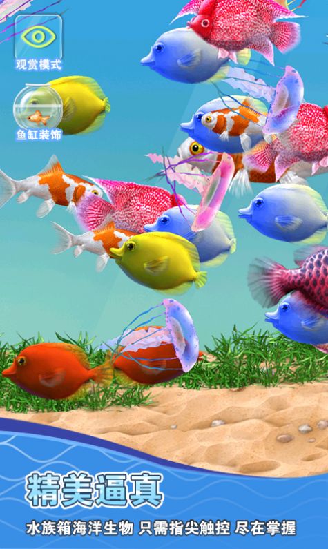假装鱼缸模拟器.jpg