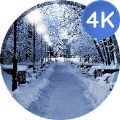 冬季壁紙高品质4K壁纸