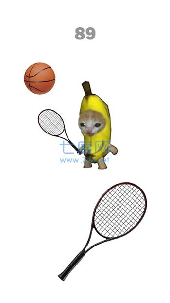 猫咪网球竞赛CatMeow Tennis截图1