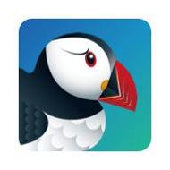 Puffin浏览器最新版2021