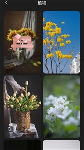 布丁壁纸库截图1