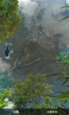 安卓鱼池动态壁纸.jpg