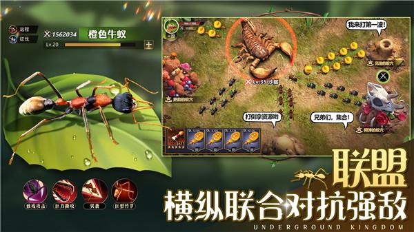小小蚁国口袋版  v1.82.0