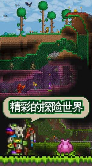 泰拉瑞亚1.4汉化版免费下载图片1