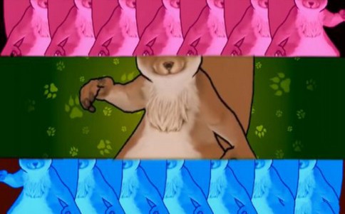 奇葩动物大乱斗 2019-12-11 14:54