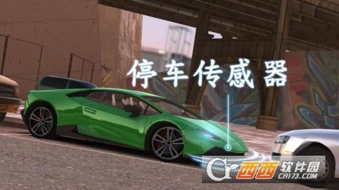 真实模拟停车截图2