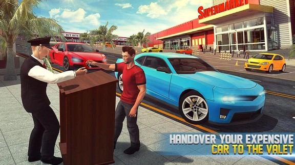 真实泊车大师  v0.1